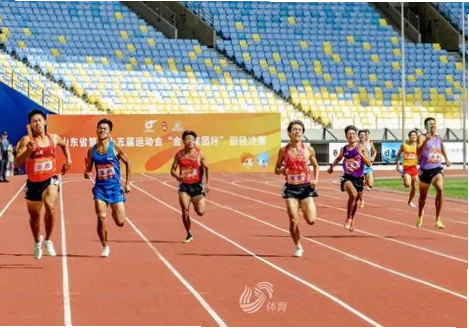 山东体育频道在线直播：5大实用技巧让你随时畅享精彩赛事